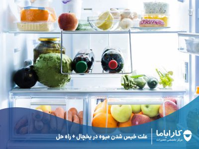 علت خیس شدن میوه در یخچال + راه حل