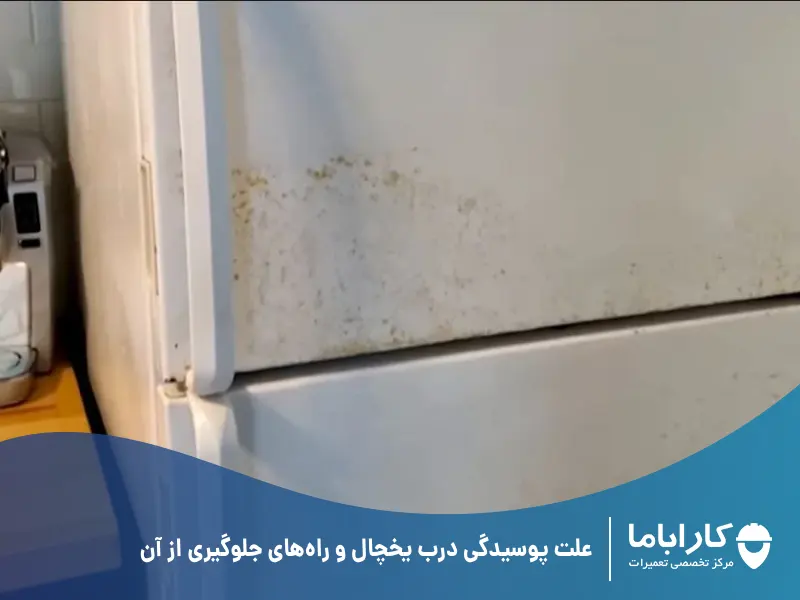 علت پوسیدگی درب یخچال و راه‌های جلوگیری از آن
